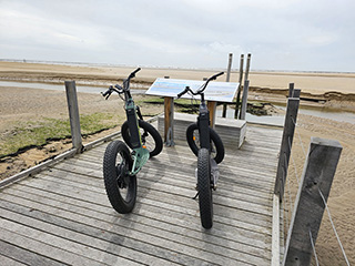 Marsh And Sea