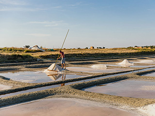 Marais Les Boucheaux