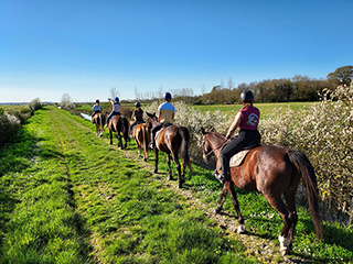 Club Hippique Des Alizés