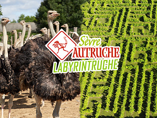 Sèvre Autruche